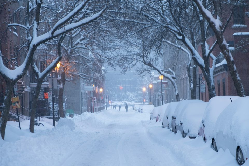 Cars buried under fresh snow line a tree-lined Montreal street at dawn after a winter storm